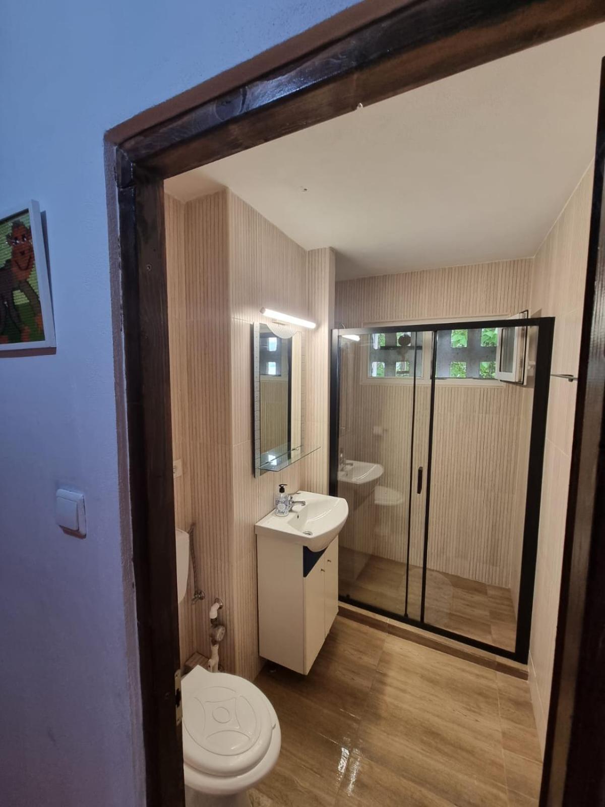 Apartament Denis Daire Orşova Dış mekan fotoğraf
