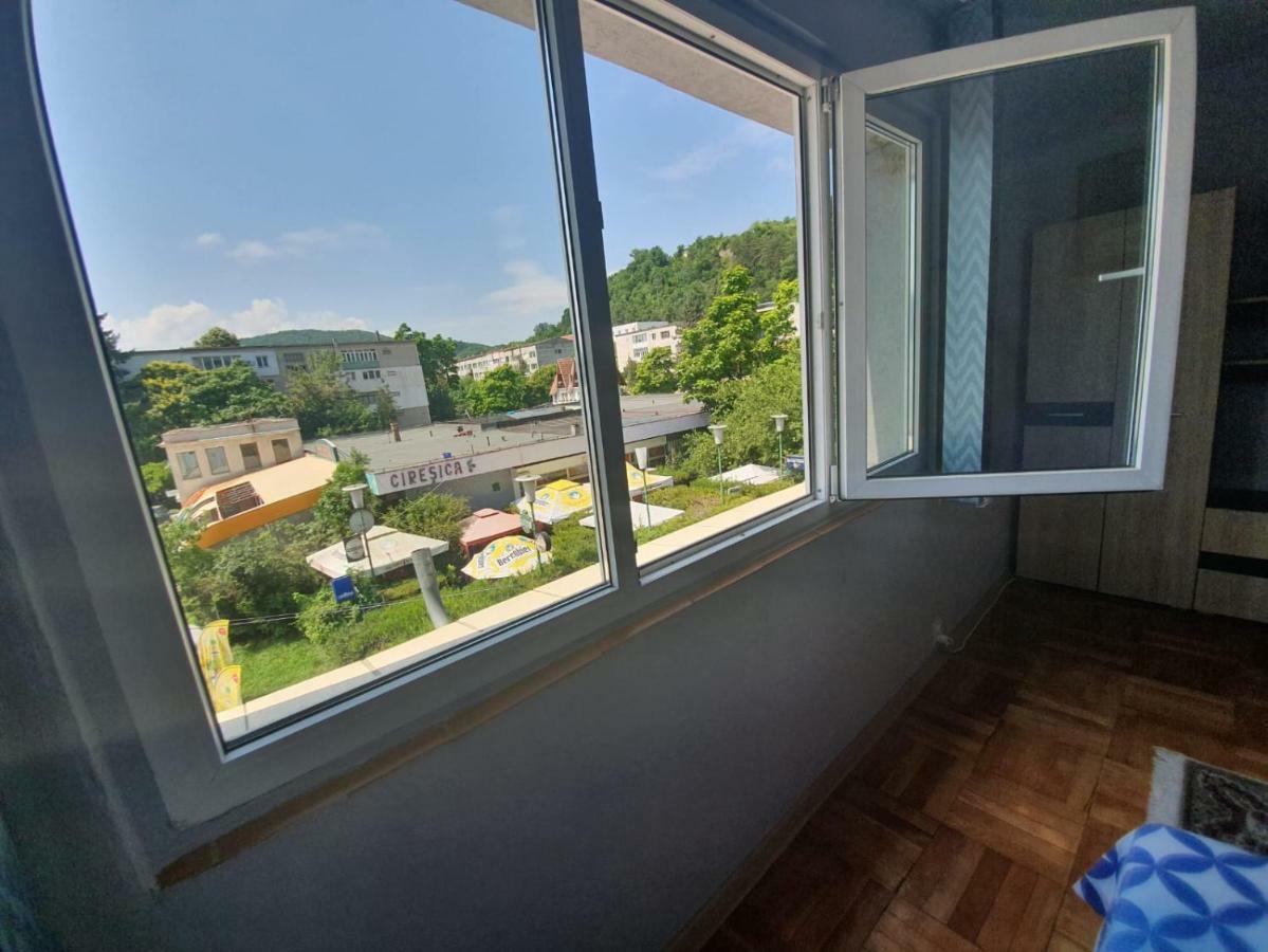 Apartament Denis Daire Orşova Dış mekan fotoğraf
